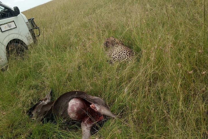 Maasai Mara Overnight Tour from Nairobi