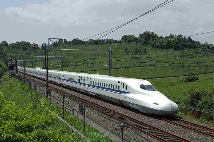 Tokyo to Osaka Bullet Train Trip with Metro 1 Day Pass