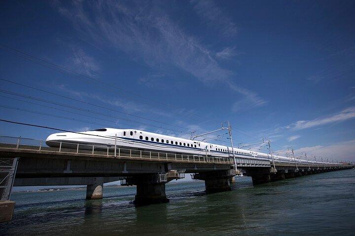 Tokyo to Osaka Bullet Train Trip with Metro 1 Day Pass