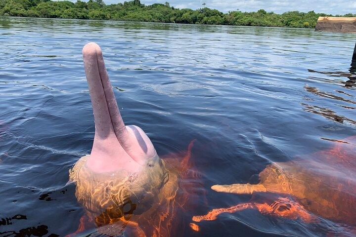 Half Day Amazonian Experience