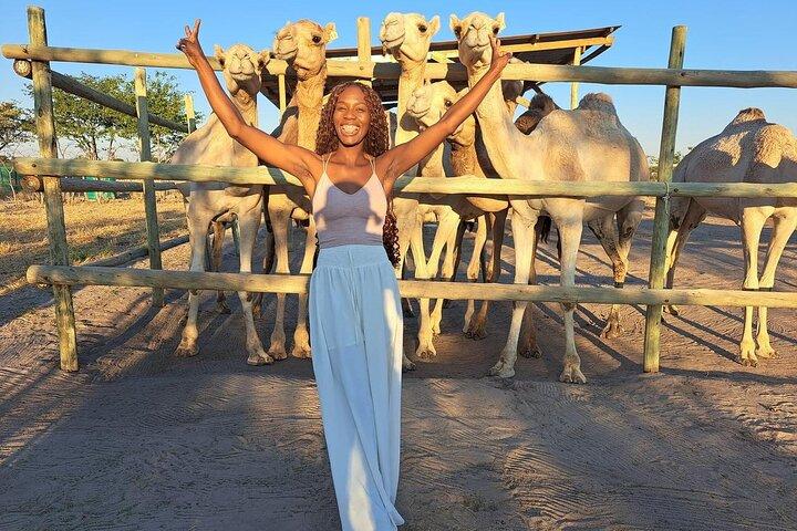 Botswana Camel Safari Experience