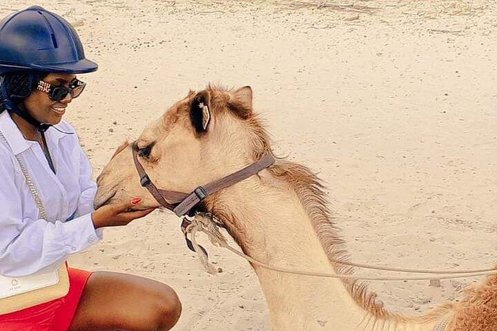Botswana Camel Safari Experience