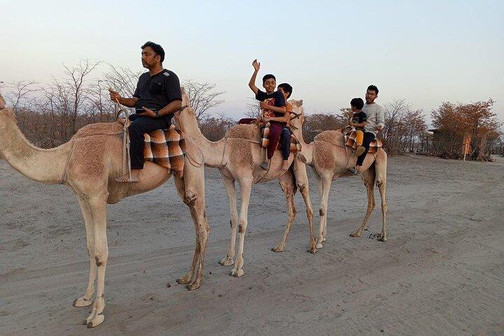 Botswana Camel Safari Experience