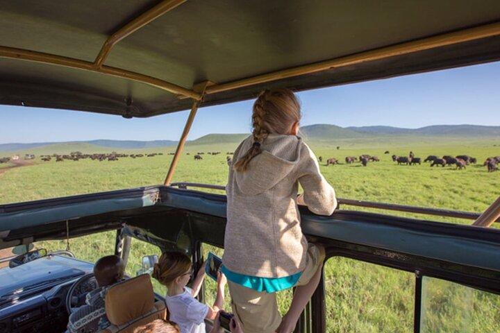 3 Day Amboseli National Park Jeep Safari