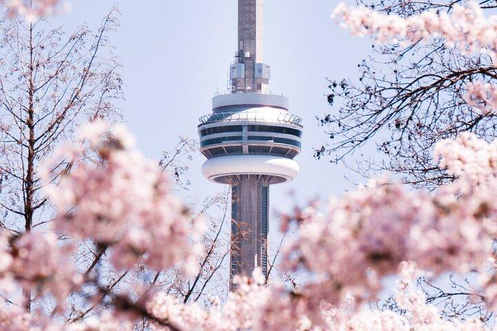 Best of Toronto City Tour with Boat Cruise & CN Tower Entry