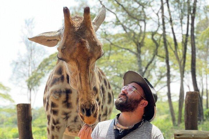 Nairobi National Park Game Drives and Giraffe Centre