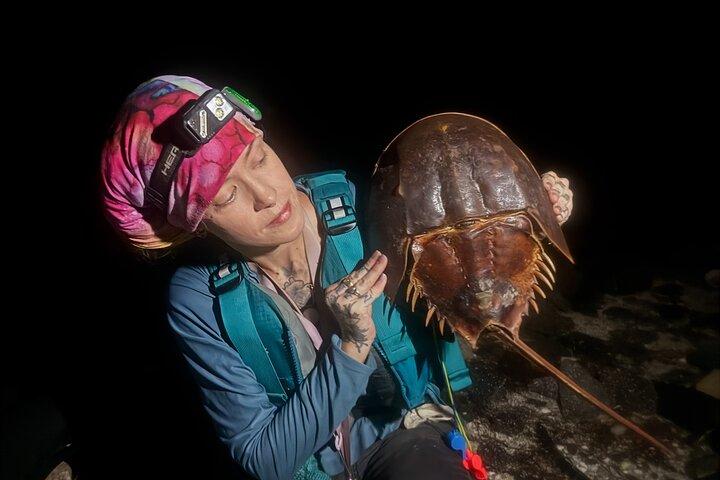 Bioluminescent Kayak Tour in Floridas Indian River Lagoon