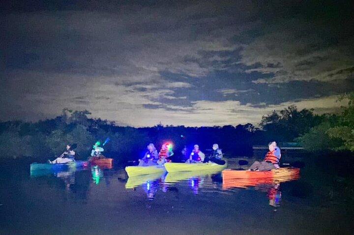Bioluminescent Kayak Tour in Floridas Indian River Lagoon