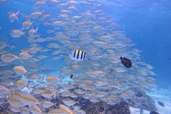 Phuket: Scuba Dive Racha and Coral Islands with Snorkeling Tour
