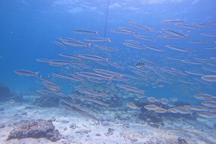 Phuket: Scuba Dive Racha and Coral Islands with Snorkeling Tour