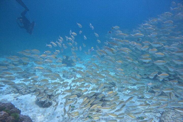 Phuket: Scuba Dive Racha and Coral Islands with Snorkeling Tour