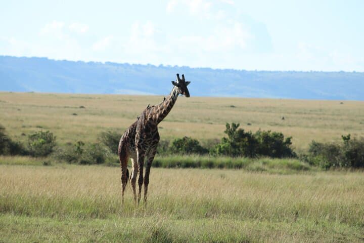 Nairobi Private Multi-day Tours to Nairobi