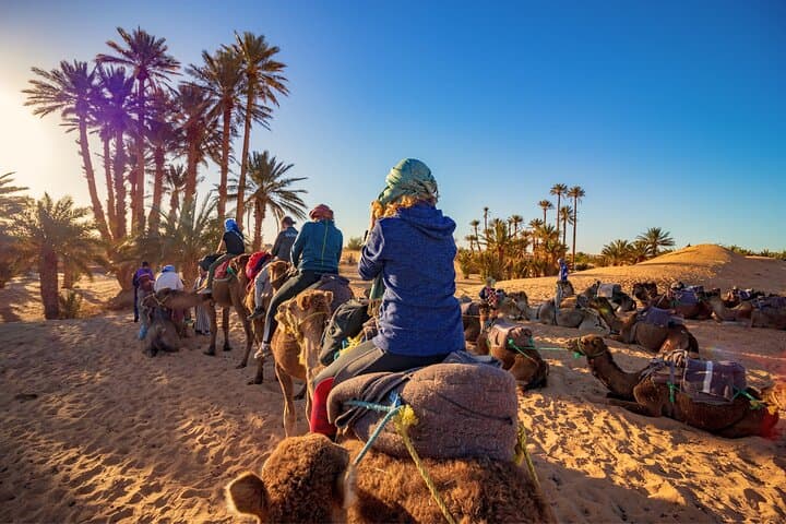Marrakech from Casablanca with Horse carriage and Camel Ride