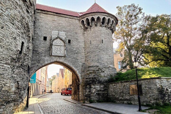 Tallinn Old Town Private Walking Tour with Native Estonian Guide