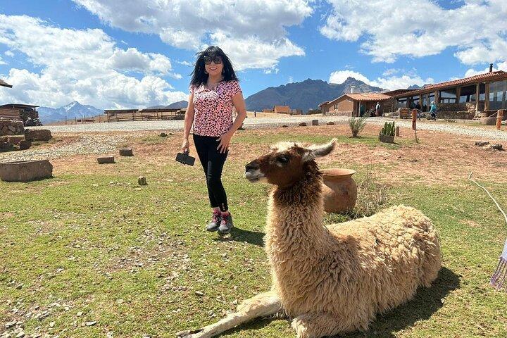 Sacred Valley and Maras Moray Tour with Buffet Lunch