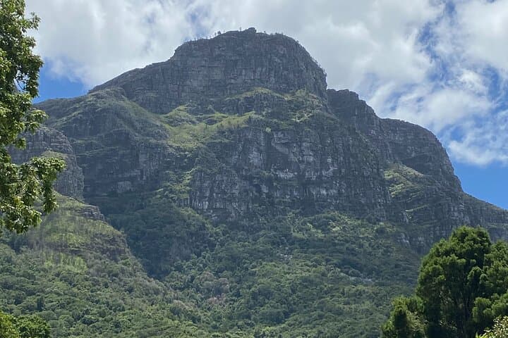 Kirstenbosch Gardens Walk