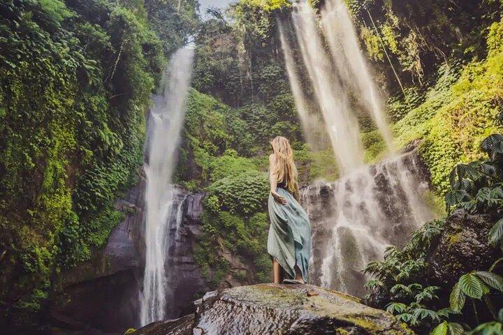 North Bali Tour with Twin Waterfalls and Temple