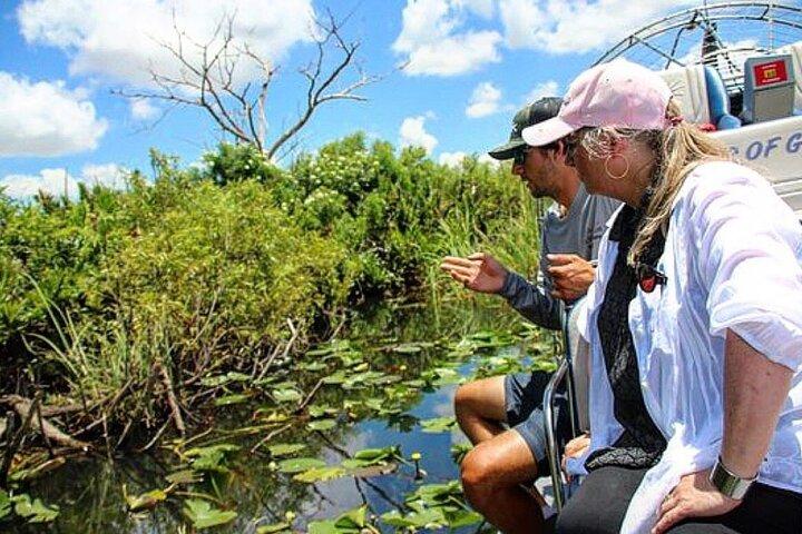 90 Minute Miami Everglades Semi Private Airboat Tour