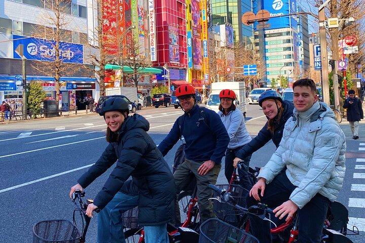 Tokyo 3 Hour E Bike Tour of the City Bayside Areas