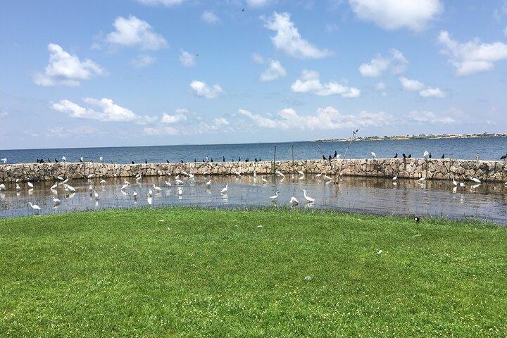 Equator Island tour Entebbe and Lake Victoria exprience.