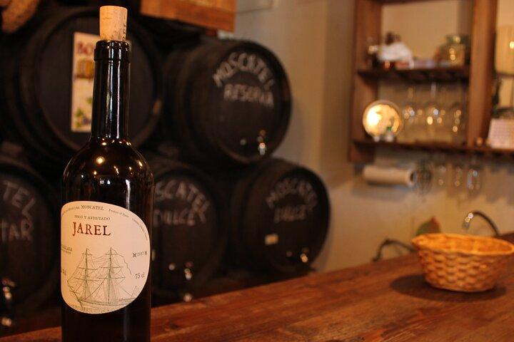 Sun and Wine Route - Small group, wine tasting and tapas included