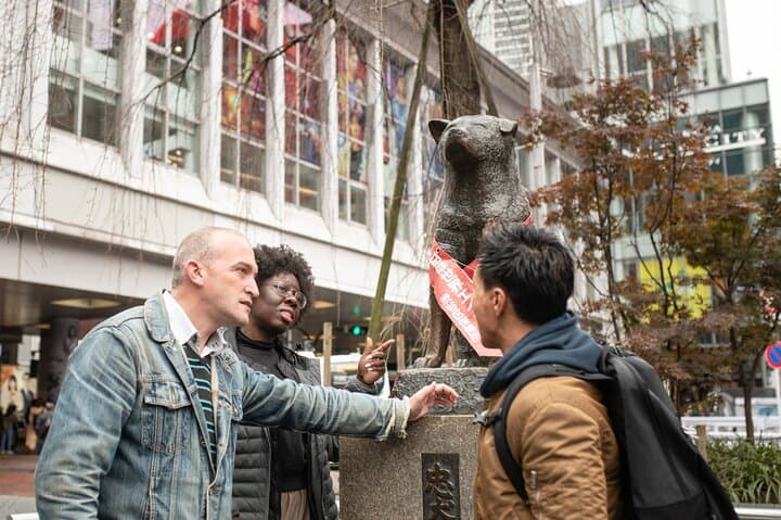 Tokyo Top 10 Highlights & Hidden Gems Private Tour with a Local
