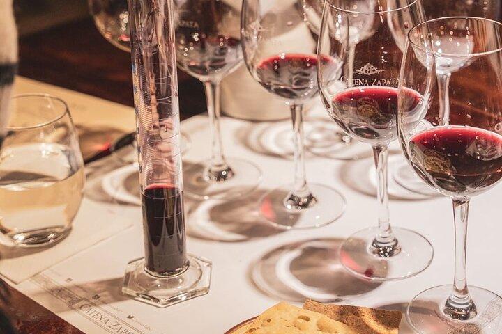 Visit and Tasting at Catena Zapata Winery and Private Transportation