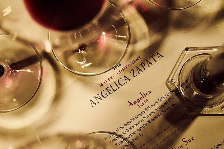 Visit and Tasting at Catena Zapata Winery and Private Transportation