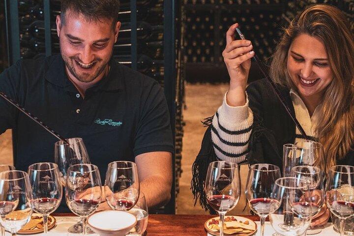 Visit and Tasting at Catena Zapata Winery and Private Transportation