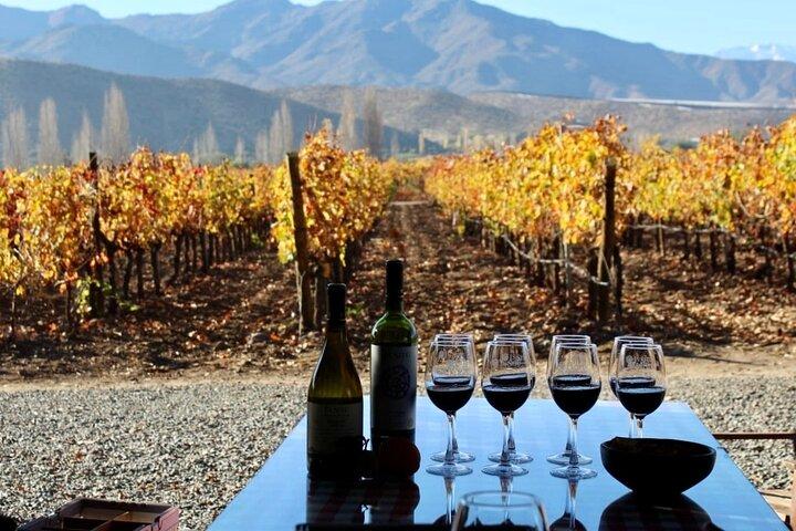 Andes Range Tour at Inca Lagoon & InSitu Winery Snack Included