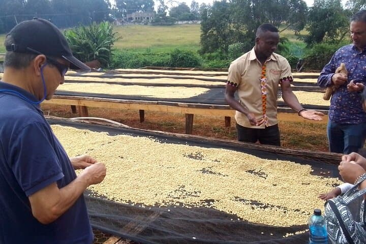 Explore the Coffee Journey from Farm to Cup