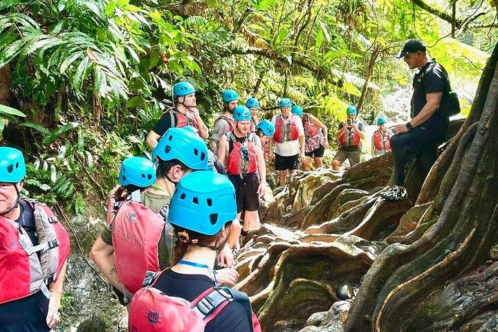 El Yunque Rainforest with Waterslides and Transport from San Juan
