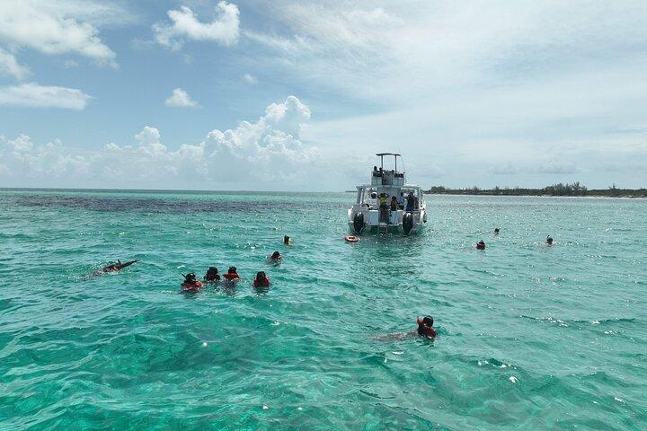 Rose Island Swimming Pigs & Beach Snorkeling Experience Nassau.