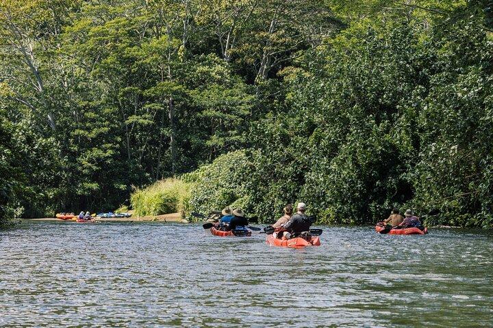 Wailua River Kayak, Hike & Waterfall Picnic: Expert-Guided