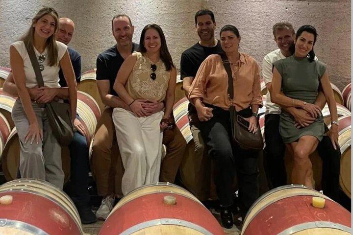 FULL DAY Wineries in Maipu and Lujan - EXCLUSIVE/PRIVATE VEHICLE
