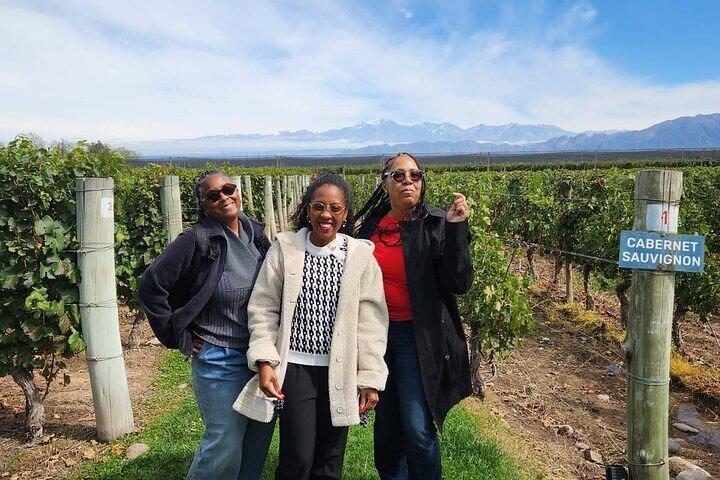 FULL DAY Wineries in Maipu and Lujan - EXCLUSIVE/PRIVATE VEHICLE