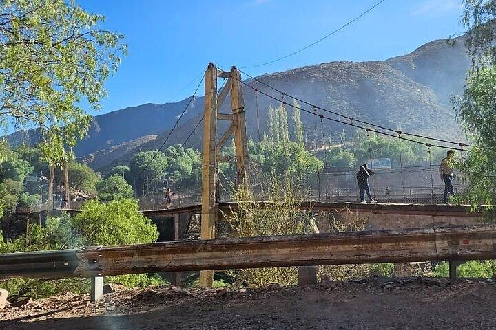 FULL DAY Wineries in Maipu and Lujan - EXCLUSIVE/PRIVATE VEHICLE
