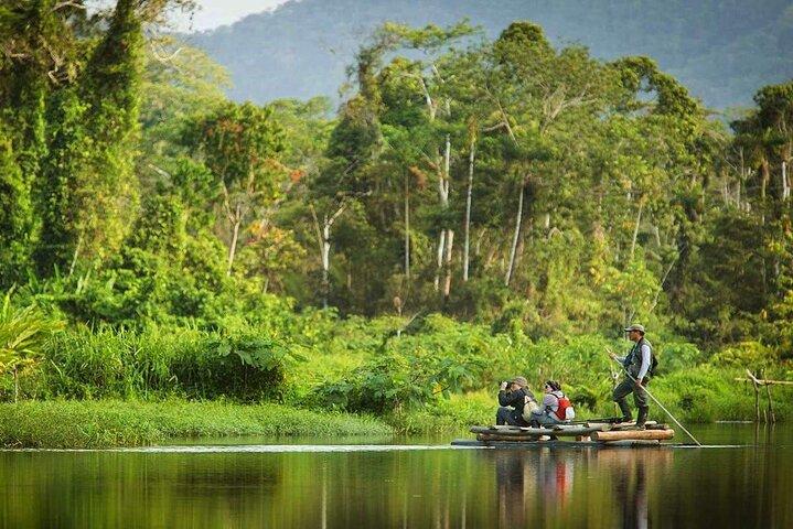 Cusco: Biodiversity of Manu National Park 3 days 2 nigths