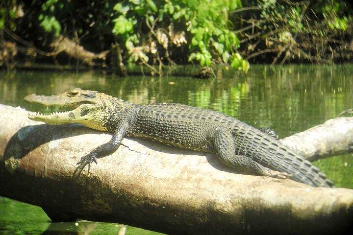 Cusco: Biodiversity of Manu National Park 3 days 2 nigths