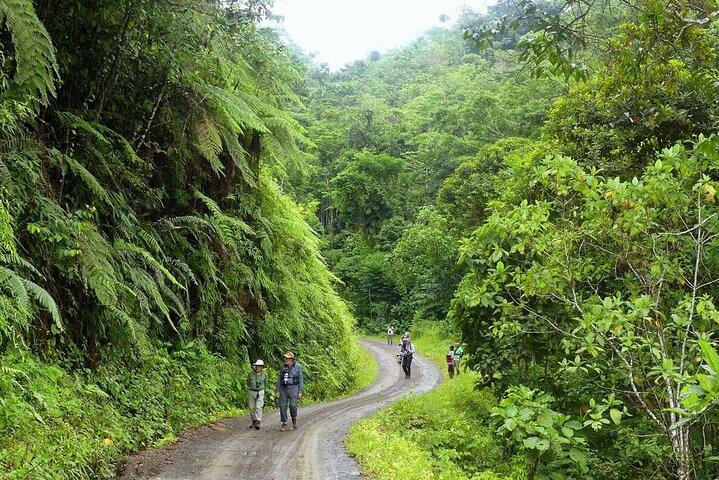 Cusco: Biodiversity of Manu National Park 3 days 2 nigths