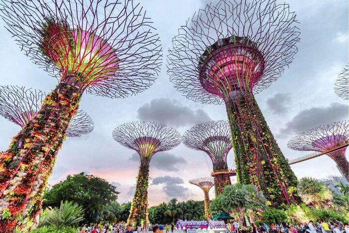 Gardens By The Bay Singapore Entry ticket - Flexible Admission