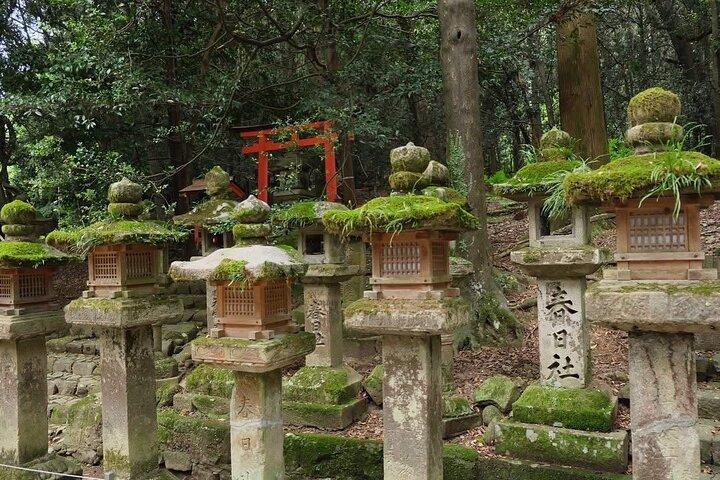 Nara and kyoto adventures private vehicle tour
