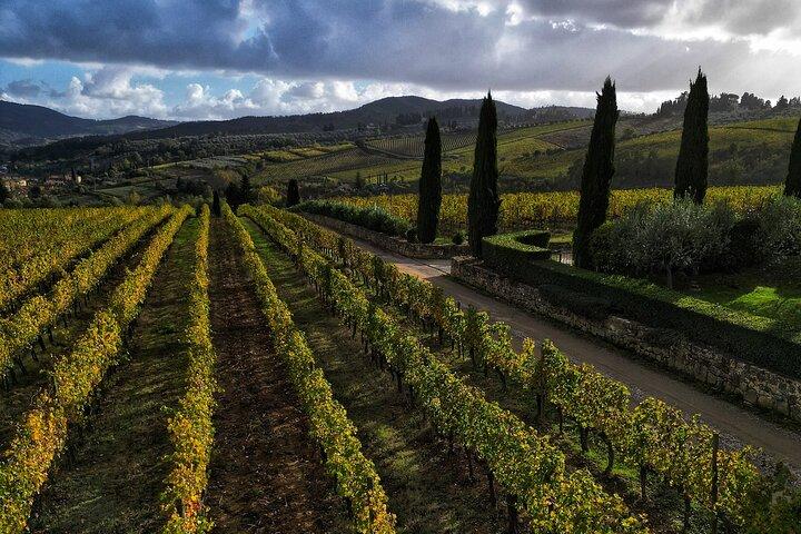 In the Heart of Chianti Classico : Wine, Winery and Tradition