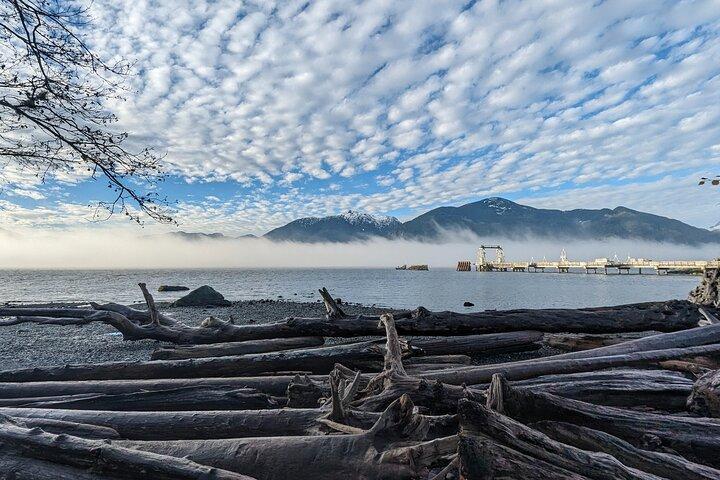 Private Whistler+ Sea 2 Sky Gondola +Shannon Fall+Green Lake Tour