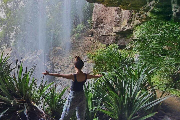 Kangaroos, Rainforest & Waterfalls Experience - Small Group