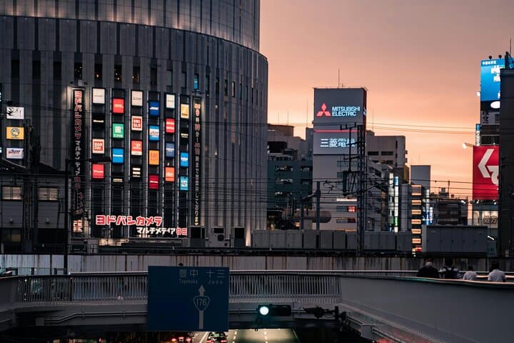 Osaka&Nara Private Highlights Customizable Tour English Driver