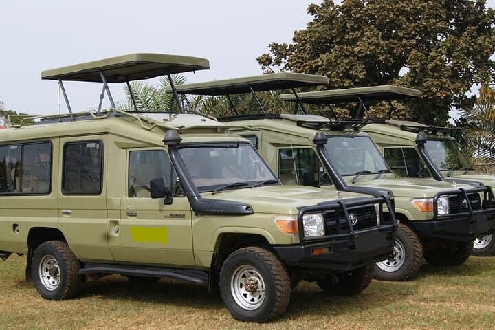 Masai Mara Transfer From Nairobi