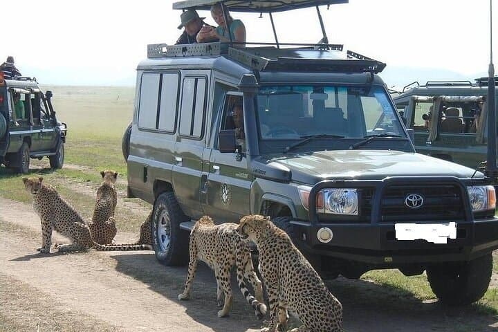 4 Days Lake Naivasha and Masai Mara Game Private Safari