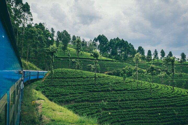 From Ella: First Class Scenic Train Ticket to Kandy