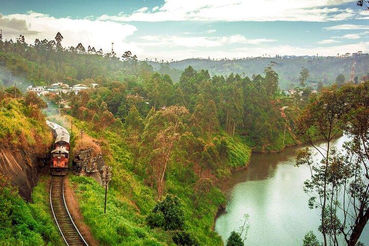From Ella: First Class Scenic Train Ticket to Kandy
